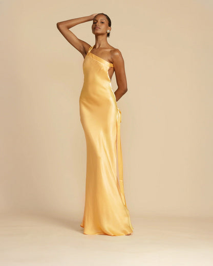 Amara Maxi Dress
