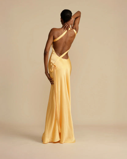 Amara Maxi Dress